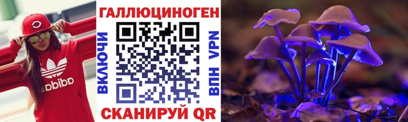 купить закладку  дарк нет состав  Галлюциногенные грибы мухоморы  Опочка 